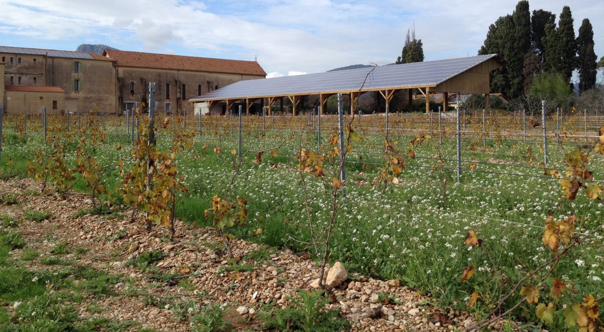 Panneaux solaires dans les vignes