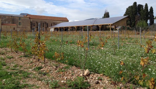 Panneaux solaires dans les vignes